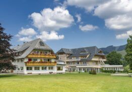 Schwarzwald Bridge 2026