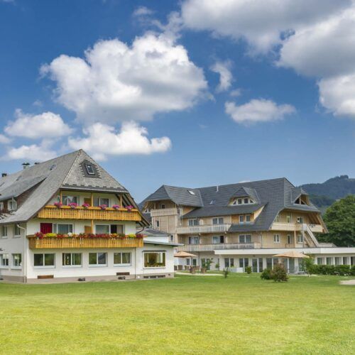 Schwarzwald Bridge 2026