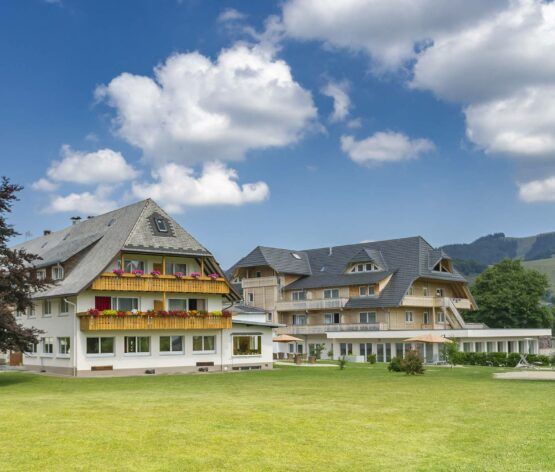 Schwarzwald Bridge 2026